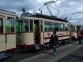 Trammoldie   022